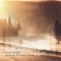 Sound Asleep: Soothing Blizzard Sounds in Greenland 2