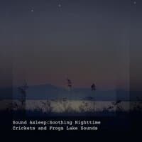 Sound Asleep: Soothing Nighttime Crickets and Frogs Lake Sounds