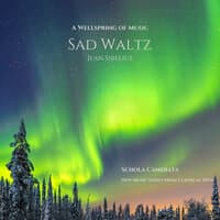 A Wellspring of Music - Sad Waltz - Jean Sibelius - New Music Series from Classical Hits