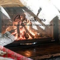 Study with Me: Forlorn Mountain Cabin Fireplace Sounds 2