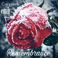 Remembrance