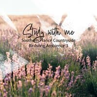 Study with Me: Southern France Countryside Birdsong Ambience 3