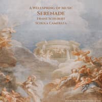 A Wellspring of Music - Serenade - Franz Schubert - New Music Series from Classical Hits