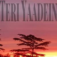 Teri Yaadein