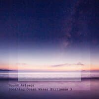 Sound Asleep: Soothing Ocean Water Stillness 3