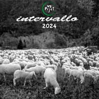 Intervallo 2024