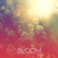 迹·Bloom