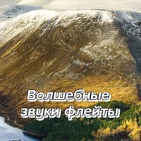 Волшебные звуки флейты