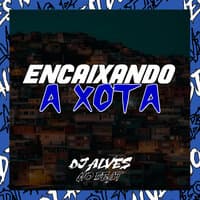 Encaixando a Xota