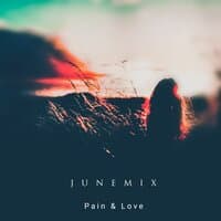 Pain X Love