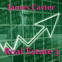 Real Estate 3