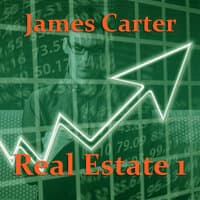 Real Estate 1