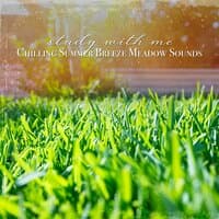 Study with Me: Chilling Summer Breeze Meadow Sounds