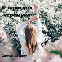 В зарослях черёмухи