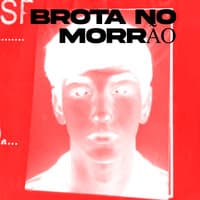 Brota no Morrão