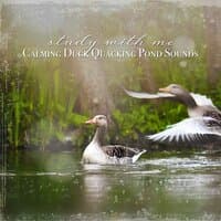 Study with Me: Calming Duck Quacking Pond Sounds