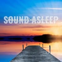 Sound Asleep: Soothing Sunrise Lakeshore Ambience 3