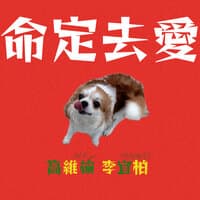 命定去愛