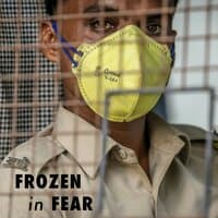 Frozen in Fear