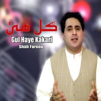 Gul Haye Kakari