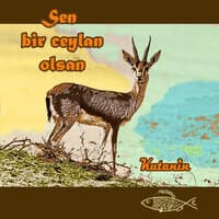 Sen Bir Ceylan Olsan