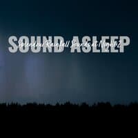 Sound Asleep: Splendour Rainfall Sounds at Night 2