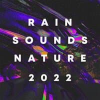 Rain Sounds Nature 2022