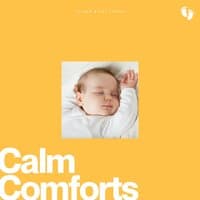 Calm Comforts