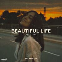 Beautiful Life