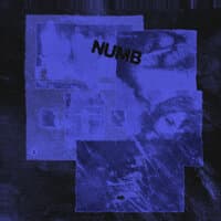 numb