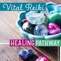 Vital Reiki – Healing Pathway: Chi Medicine, Life Force Improving, Body Energy Field, Human Aura, Inner Purification