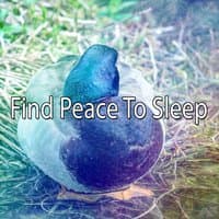 Find Peace To Sleep