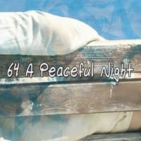 64 A Peaceful Night