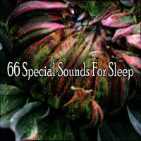 66 Special Sounds For Sleep