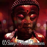 65 Sleep & Mind Cleansers