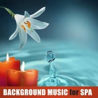 Background Music for Spa – Nature Sounds to Rest, Relaxing Moments in Spa, Soothing Sounds, Wellness