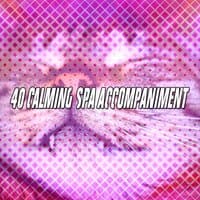 40 Calming Spa Accompaniment