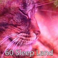 60 Sleep Land