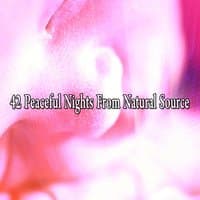 42 Peaceful Nights From Natural Source