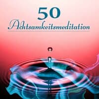 50 Achtsamkeitsmeditation – Heildende Geräusche der Natur, Gelassenheit, Zen Buddhismus, Tiefentspannungsmusik