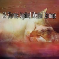 24 Storms Against Mental Carnage