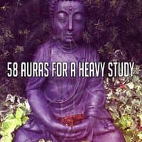 58 Auras for a Heavy Study