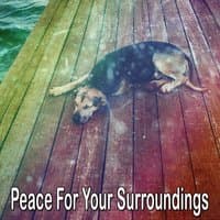 Peace For Your Surroundings