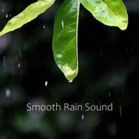 #1 Collection of Rain Sound: ASMR Relax Sounds of Raining Mood