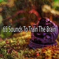 65 Sounds To Train The Brain