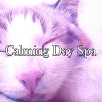 Calming Day Spa