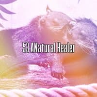 53 A Natural Healer