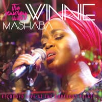 The Journey With Winnie Mashaba