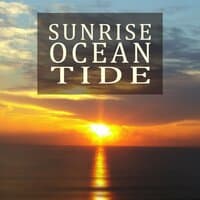 Sunrise Ocean Tide - Pure Sound for Sleep, Massage, Spa, Reiki Healing, Guided Meditation, Wellness, White Noise, Relaxing Ocean Wave Sound Effects