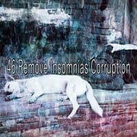 46 Remove Insomnias Corruption